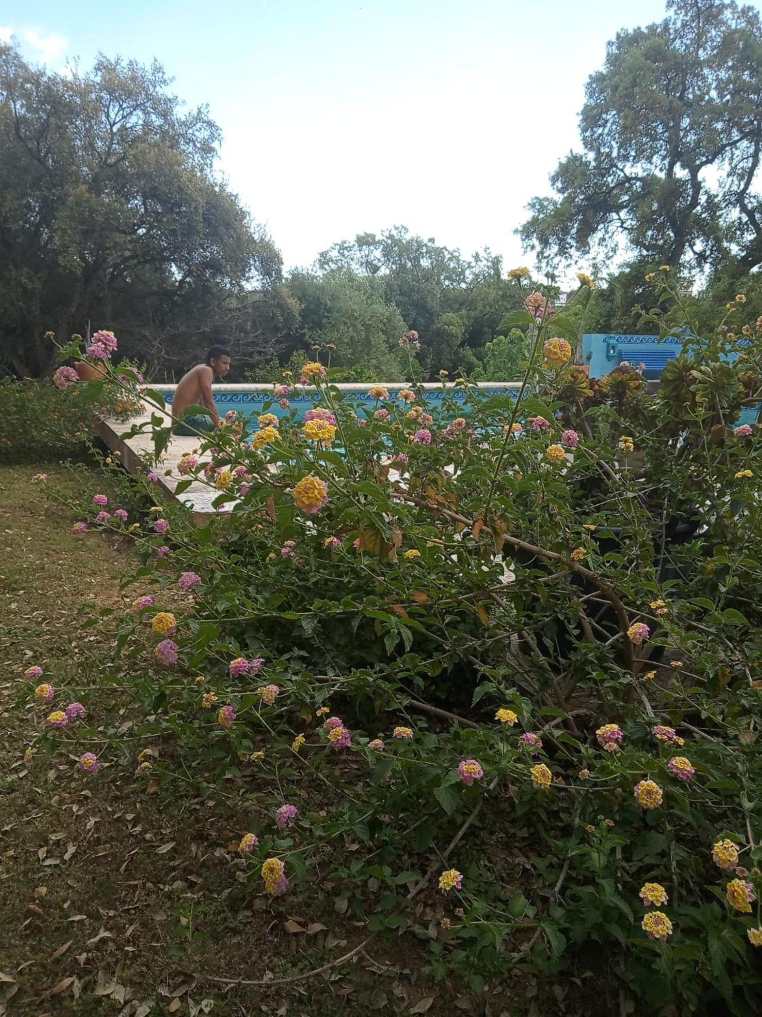 Sotogrande. Estancia Privada En Plena Naturaleza Экстерьер фото