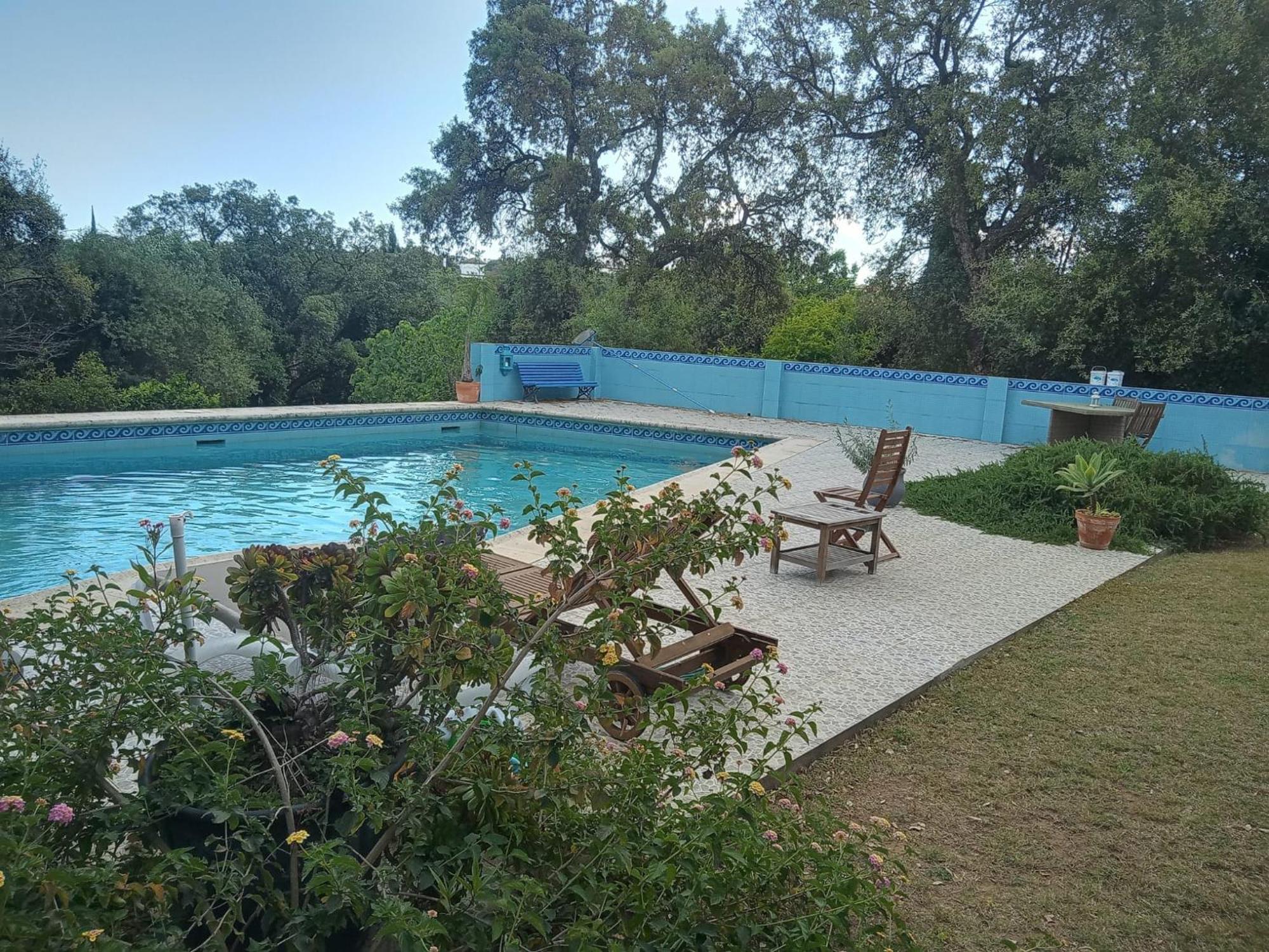 Sotogrande. Estancia Privada En Plena Naturaleza Экстерьер фото
